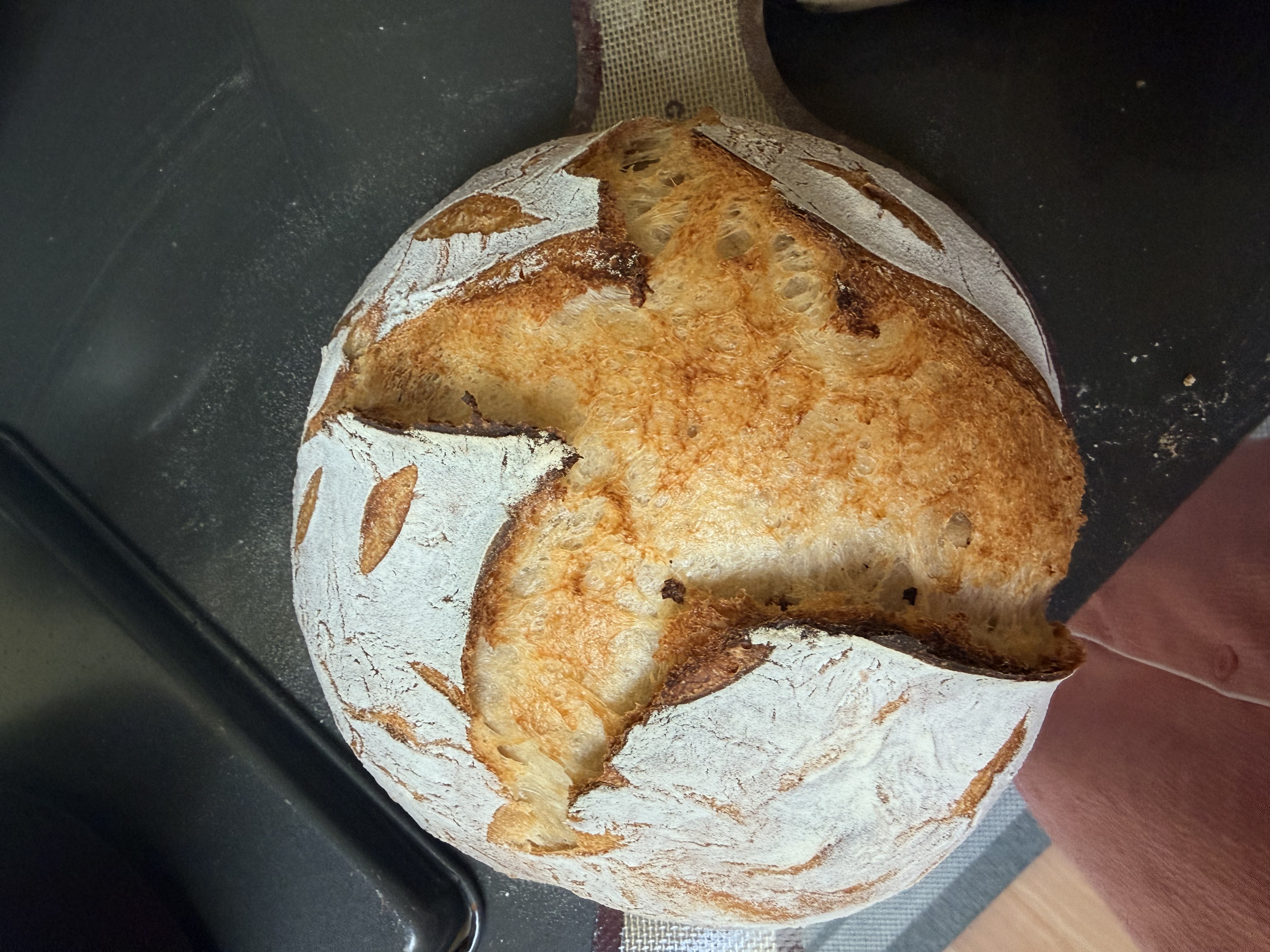 Sourdough loaf with strong bloom
