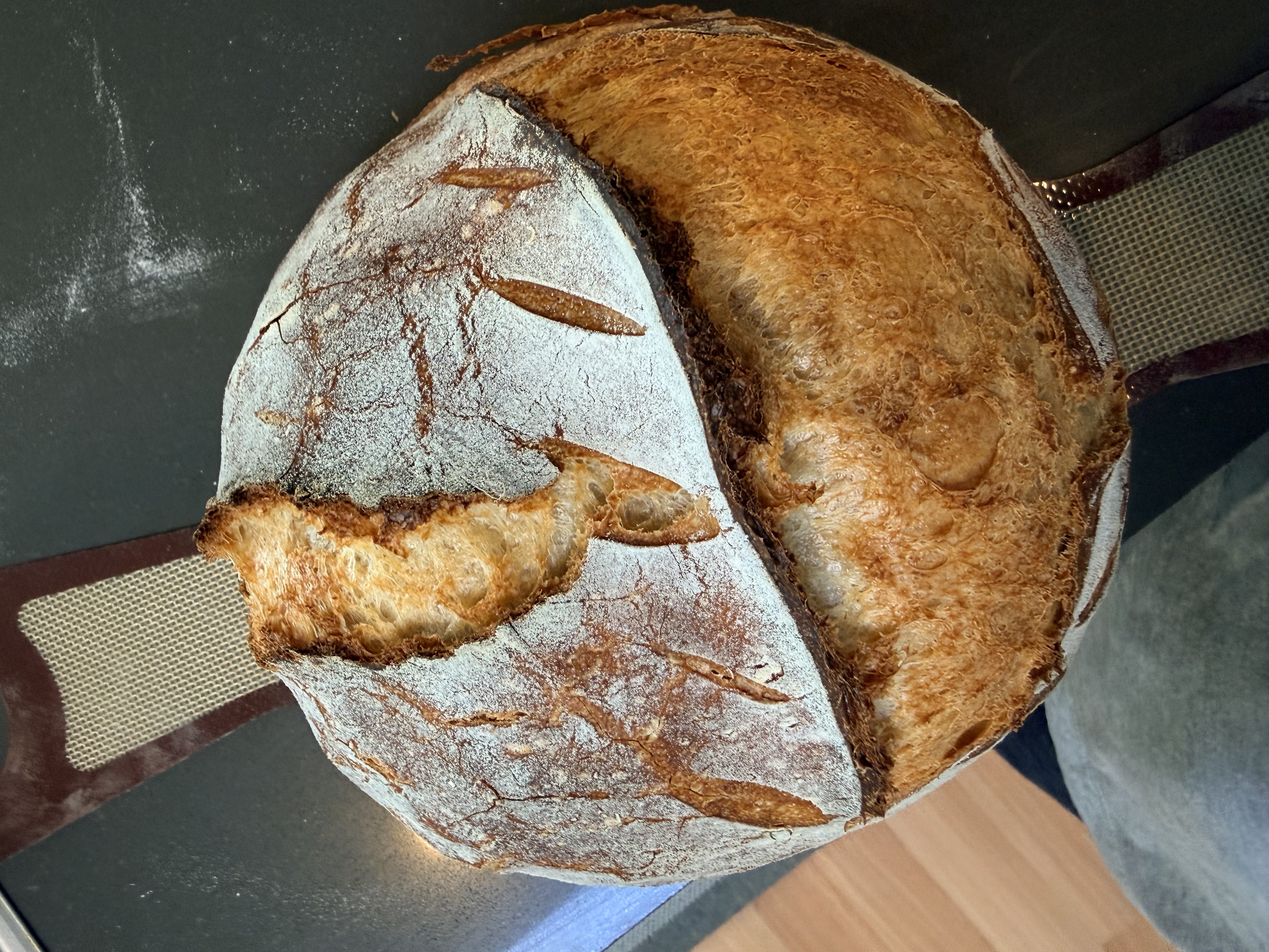 Flour-dusted scored sourdough loaf